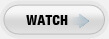 Accountants watch button
